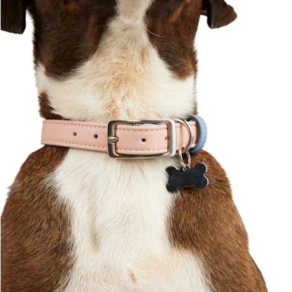YOULY The Heir Pink & Blue Dog Collar, Small - Picture 4 of 9